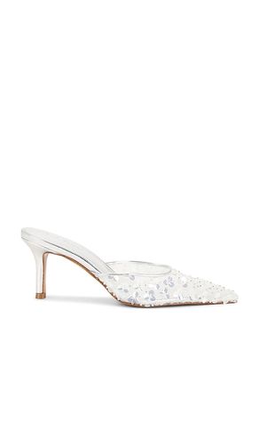 Alexi Pump in , . Size 6. Also in 6.5, 7, 7.5, 8, 8.5 - Steve Madden - Modalova