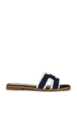Hadyn Sandal in . Size 6. Also in 6.5, 7.5, 8.5 - Steve Madden - Modalova