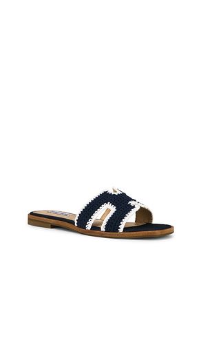 Hadyn Sandal in Navy. - size 10 (also in 6, 7.5) - Steve Madden - Modalova