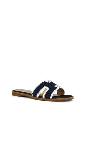 Hadyn Sandal in . Size 6. Also in 7.5, 8.5, 10 - Steve Madden - Modalova
