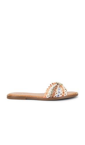 Dipsy Sandal in Coral. - size 6 (also in 6.5, 7.5, 8, 8.5, 9, 9.5, 10) - Steve Madden - Modalova
