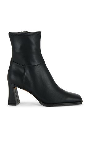 Harp Boot in . - size 10 (also in 6, 6.5, 7, 7.5, 8, 8.5, 9, 9.5) - Steve Madden - Modalova