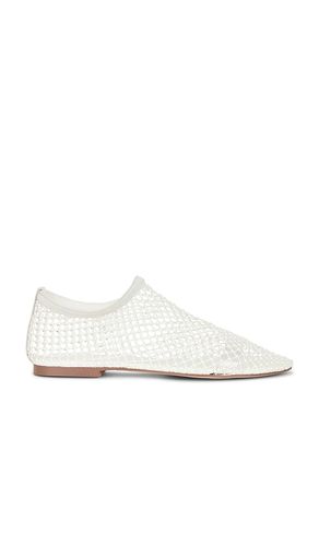 Mino Flat in . Size 6. Also in 6.5, 7, 7.5, 8, 8.5, 9, 9.5, 10 - Steve Madden - Modalova