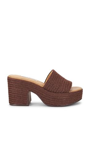 Trippy Sandal in . Size 7.5. Also in 8, 8.5 - Steve Madden - Modalova
