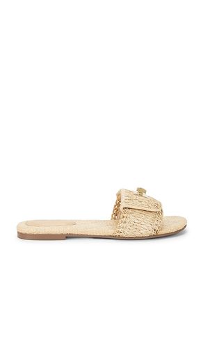 Moreland Sandal in . Size 6.5. Also in 9.5 - Steve Madden - Modalova