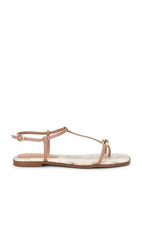 Ritzy Sandal in Brown. - size 6 (also in 6.5, 7.5, 8, 8.5, 9.5, 10) - Steve Madden - Modalova