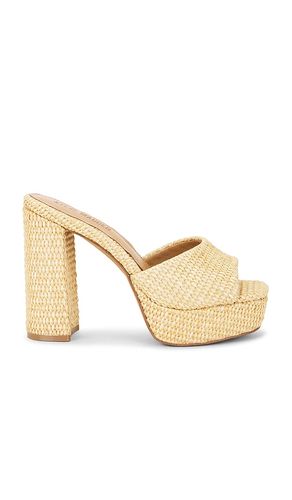 Joel Sandal in . Size 10. Also in 9.5 - Steve Madden - Modalova