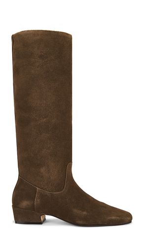Dantelle Boot in Brown. - size 10 (also in 6, 6.5, 7, 7.5, 8, 8.5, 9, 9.5) - Steve Madden - Modalova