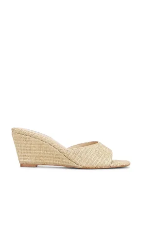 Seleste Sandal in . Size 10. Also in 6, 7 - Steve Madden - Modalova