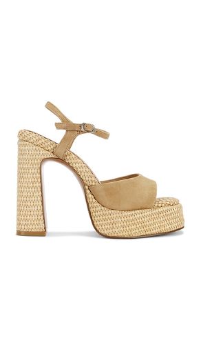 Liandra Sandal in Taupe. - size 10 (also in 8.5, 9) - Steve Madden - Modalova