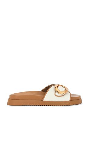 Mandie Slides in Cream. - size 10 (also in 5, 5.5, 6, 6.5, 7, 7.5, 8, 8.5, 9, 9.5) - Steve Madden - Modalova