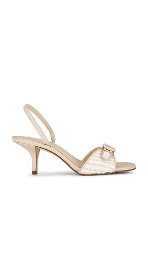 Henrietta-P Sandal in . - size 10 (also in 6, 6.5, 7, 7.5, 8, 8.5, 9, 9.5) - Steve Madden - Modalova