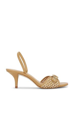 Henrietta Sandal in Brown. - size 10 (also in 6, 6.5, 7, 7.5, 8, 8.5, 9, 9.5) - Steve Madden - Modalova