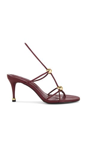 Ramos Sandal in . - size 10 (also in 6, 6.5, 7, 7.5, 8, 8.5, 9, 9.5) - Steve Madden - Modalova