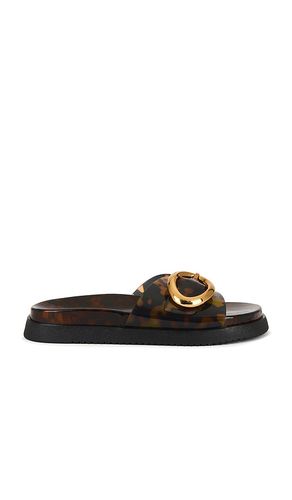 Mandie Slides in Brown. - size 10 (also in 5.5, 6, 6.5, 7, 7.5, 8, 8.5, 9, 9.5) - Steve Madden - Modalova