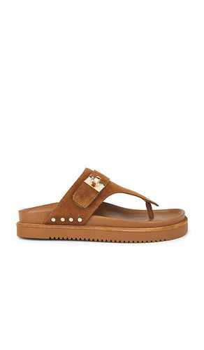 Thona Sandal in Brown. - size 10 (also in 6, 6.5, 7, 7.5, 8, 8.5, 9, 9.5) - Steve Madden - Modalova