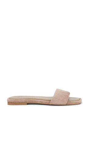 Lumina Slides in Taupe. - size 10 (also in 11, 5.5, 6, 6.5, 7, 7.5, 8, 8.5, 9, 9.5) - Steve Madden - Modalova