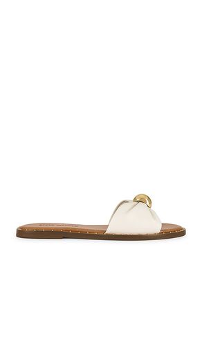 Dipsy Flat in Ivory. - size 10 (also in 6, 6.5, 7, 7.5, 8, 8.5, 9, 9.5) - Steve Madden - Modalova