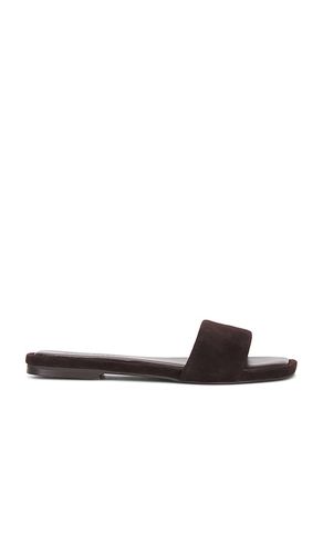 Lumina Slides in Brown. - size 10 (also in 6, 7, 7.5, 8, 8.5, 9, 9.5) - Steve Madden - Modalova