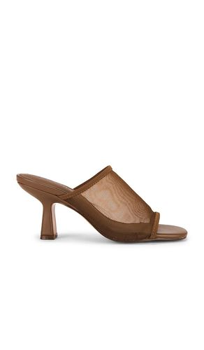 Gleam Sandal in . - size 10 (also in 6, 6.5, 7, 7.5, 8, 8.5, 9, 9.5) - Steve Madden - Modalova