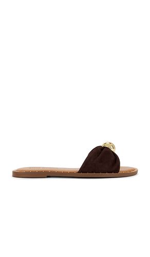 Dipsy Flat in Brown. - size 10 (also in 6, 6.5, 7, 7.5, 8, 8.5, 9, 9.5) - Steve Madden - Modalova