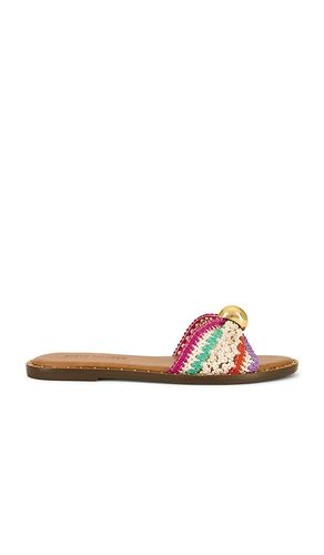 Dipsy Flat in Neutral. - size 10 (also in 6, 6.5, 7, 7.5, 8, 8.5, 9.5) - Steve Madden - Modalova