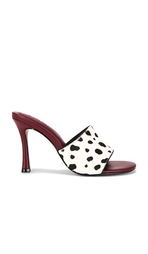 Paula-a Sandal in White. - size 10 (also in 6, 6.5, 7, 7.5, 8, 8.5, 9, 9.5) - Steve Madden - Modalova