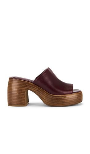 Shanton Sandal in Burgundy. - size 10 (also in 6, 7.5, 8, 8.5, 9, 9.5) - Steve Madden - Modalova