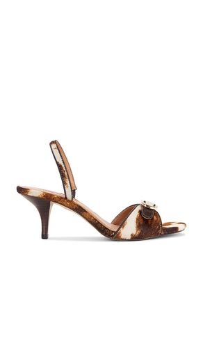 Henrietta-H Sandal in Brown. - size 10 (also in 6, 7, 7.5, 8, 8.5, 9, 9.5) - Steve Madden - Modalova