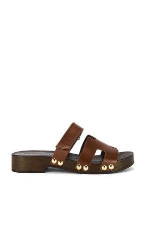 Canal Sandal in Brown. - size 10 (also in 6, 7, 8, 9) - Steve Madden - Modalova