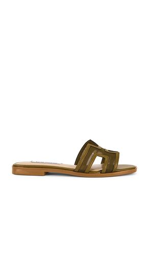 Hadyn Mesh Sandal in . - size 10 (also in 5.5, 6, 6.5, 7, 7.5, 8, 8.5, 9, 9.5) - Steve Madden - Modalova
