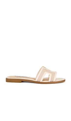 Hadyn Mesh Sandal in Cream. - size 10 (also in 6, 6.5, 7, 7.5, 8, 8.5, 9, 9.5) - Steve Madden - Modalova