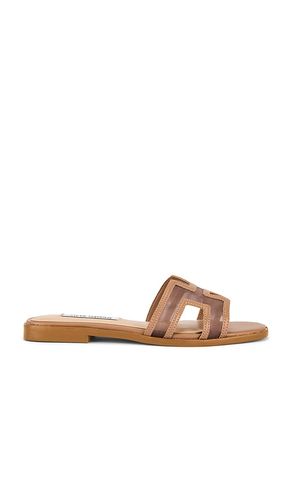 Hadyn Mesh Sandal in Brown. - size 10 (also in 6, 6.5, 7, 7.5, 8, 8.5, 9, 9.5) - Steve Madden - Modalova