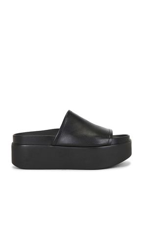 Arwen Sandal in . Size 6.5. Also in 8, 9, 9.5 - Steve Madden - Modalova