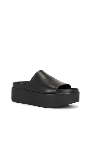Arwen Sandal in . Size 6.5. Also in 8, 8.5, 9.5 - Steve Madden - Modalova