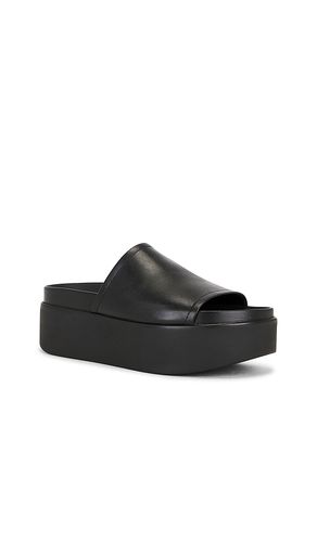 Arwen Sandal in . Size 8. Also in 8.5, 9.5 - Steve Madden - Modalova