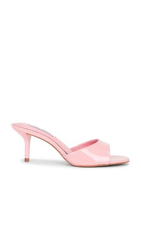 Kendrix Sandal in . Size 10. Also in 9.5 - Steve Madden - Modalova