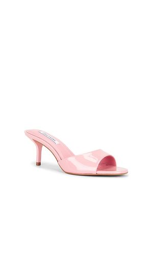 Kendrix Sandal in . Size 10. Also in 7.5 - Steve Madden - Modalova