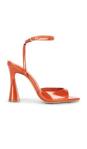 Beki Sandal in Orange. - size 10 (also in 6, 7.5, 8, 8.5, 9) - Steve Madden - Modalova