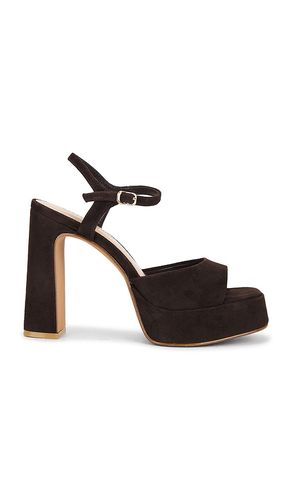 Liandra Sandal in . Size 10. Also in 6, 7.5, 8, 8.5, 9, 9.5 - Steve Madden - Modalova