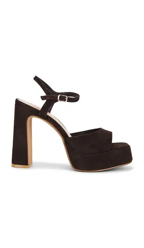 Liandra Sandal in . Size 10. Also in 8.5, 9, 9.5 - Steve Madden - Modalova