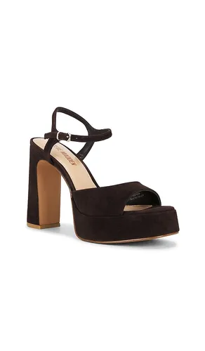 Liandra Sandal in . Size 10. Also in 8.5, 9, 9.5 - Steve Madden - Modalova