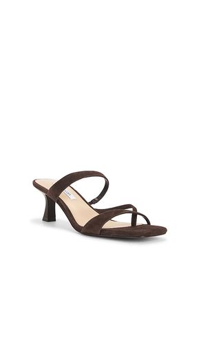 Ajay Sandal in . Size 7. Also in 7.5, 9, 10 - Steve Madden - Modalova