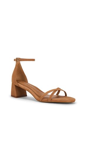 Rae Sandal in . Taglia 10. Also in 6, 6.5, 7.5, 8, 8.5, 9.5 - Steve Madden - Modalova