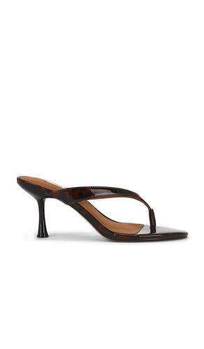 Faroh Sandal in Brown. - size 9 (also in 9.5) - Steve Madden - Modalova