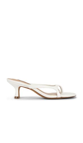 Brienna Sandal in White. - size 10 (also in 6, 6.5, 7.5, 8, 8.5, 9, 9.5) - Steve Madden - Modalova