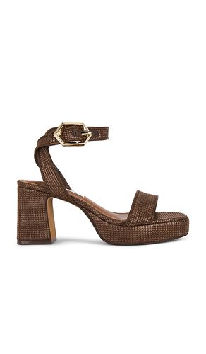 Elida Sandal in . Size 10. Also in 11, 5.5, 7, 8, 9 - Steve Madden - Modalova