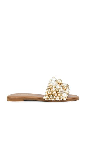 Klio Sandal in ,. Size 6. Also in 6.5, 7, 7.5, 8, 8.5 - Steve Madden - Modalova