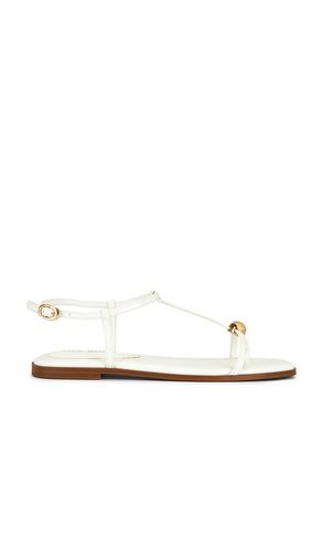 Ritzy Sandal in . Size 10. Also in 6, 6.5, 7, 7.5, 8, 8.5 - Steve Madden - Modalova