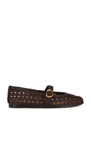Melody Flats in Brown. - size 10 (also in 6, 6.5, 7, 7.5, 8, 9, 9.5) - Steve Madden - Modalova